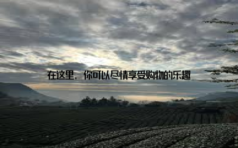 在这里, 你可以尽情享受购物的乐趣