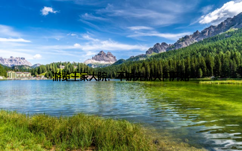 游览王家大院, 不妨先从大门开始