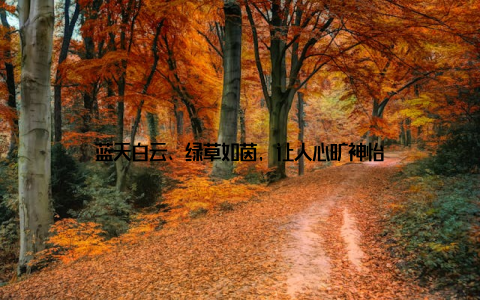 蓝天白云、绿草如茵, 让人心旷神怡