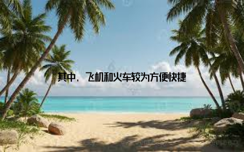其中, 飞机和火车较为方便快捷