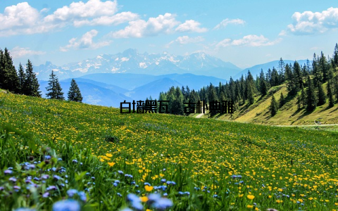 – 白墙黑瓦, 古朴典雅