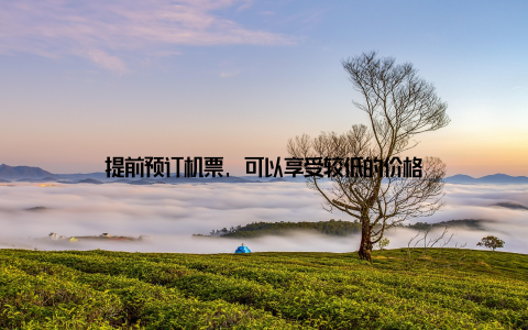 提前预订机票, 可以享受较低的价格