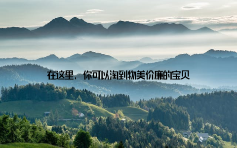 在这里, 你可以淘到物美价廉的宝贝