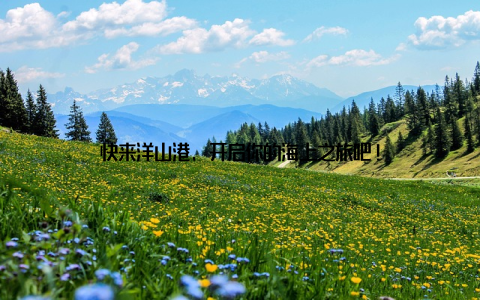 快来洋山港, 开启你的海上之旅吧!