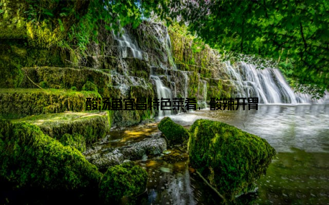 – 酸汤鱼宜昌特色菜肴, 酸辣开胃