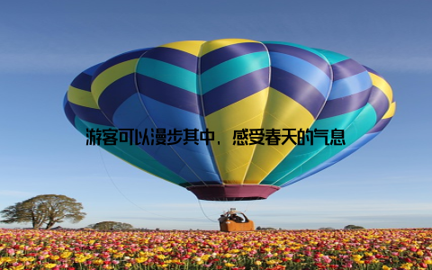 游客可以漫步其中, 感受春天的气息