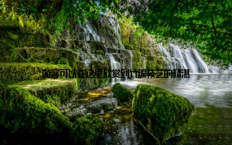 游客可以在这里欣赏到竹编技艺的精湛