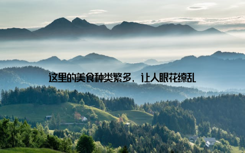 这里的美食种类繁多, 让人眼花缭乱