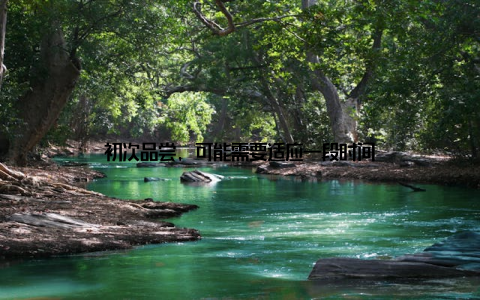 初次品尝, 可能需要适应一段时间