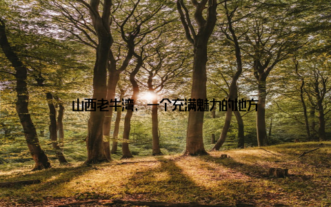 山西老牛湾, 一个充满魅力的地方