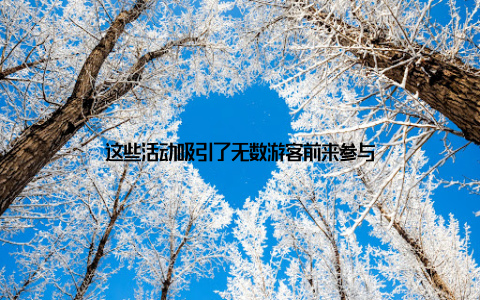 这些活动吸引了无数游客前来参与